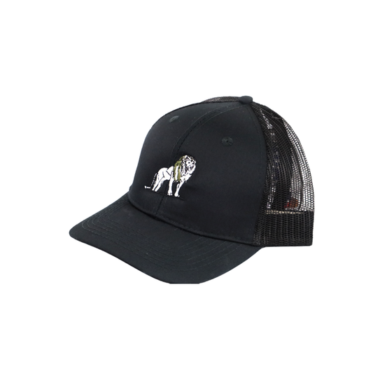 Coordinated Pro Style Trucker Hat