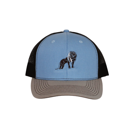 Coordinated Pro Style Trucker Hat