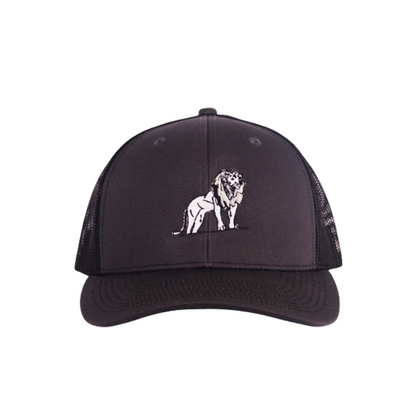 Coordinated Pro Style Trucker Hat