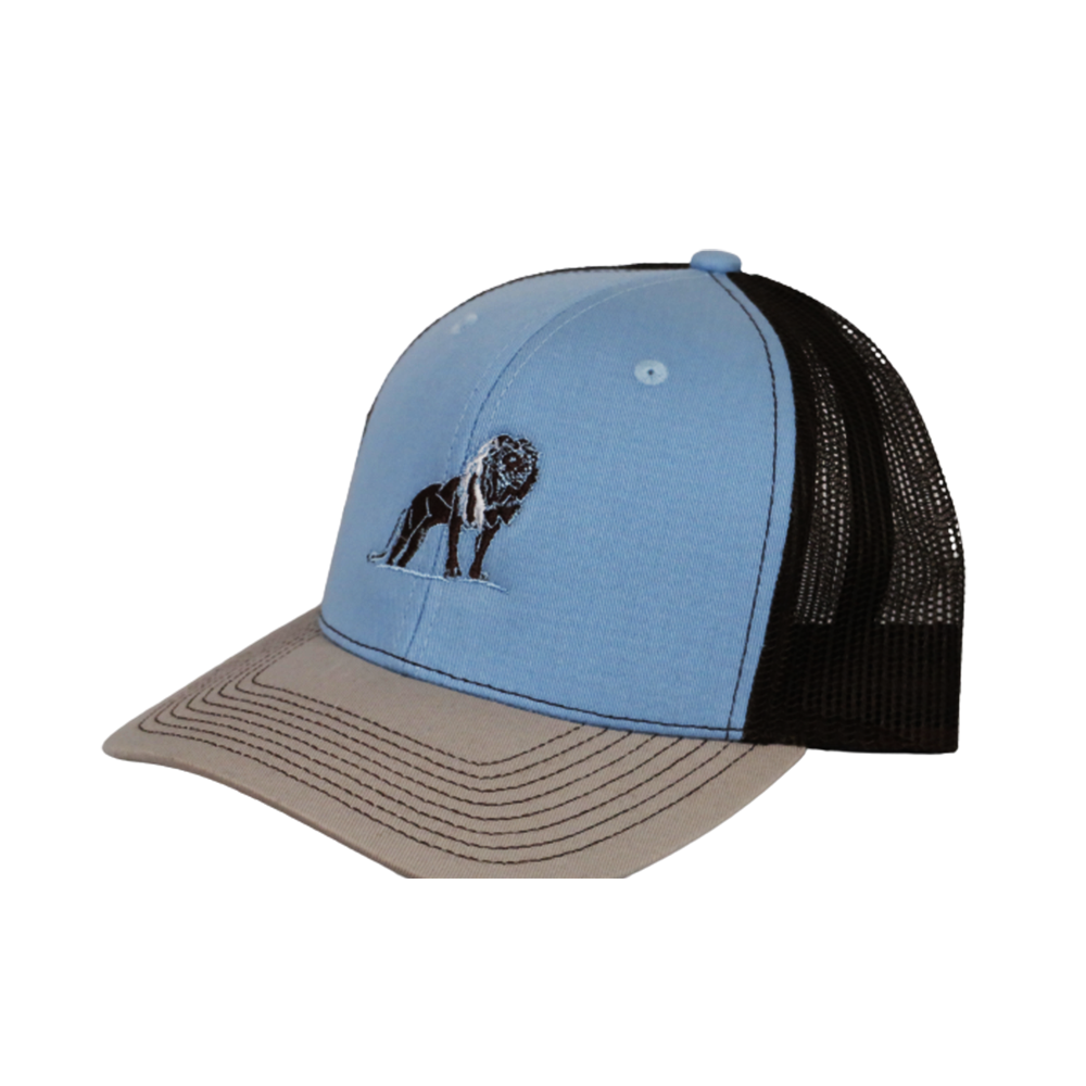 Coordinated Pro Style Trucker Hat