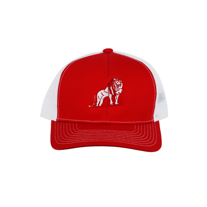 Coordinated Pro Style Trucker Hat