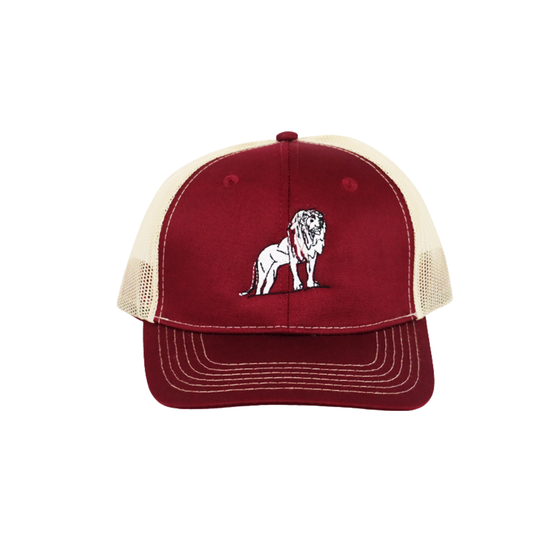 Coordinated Pro Style Trucker Hat