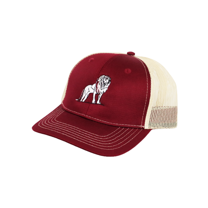 Coordinated Pro Style Trucker Hat