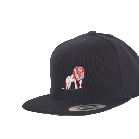 Coordinated Classic Premium Snapback Cap