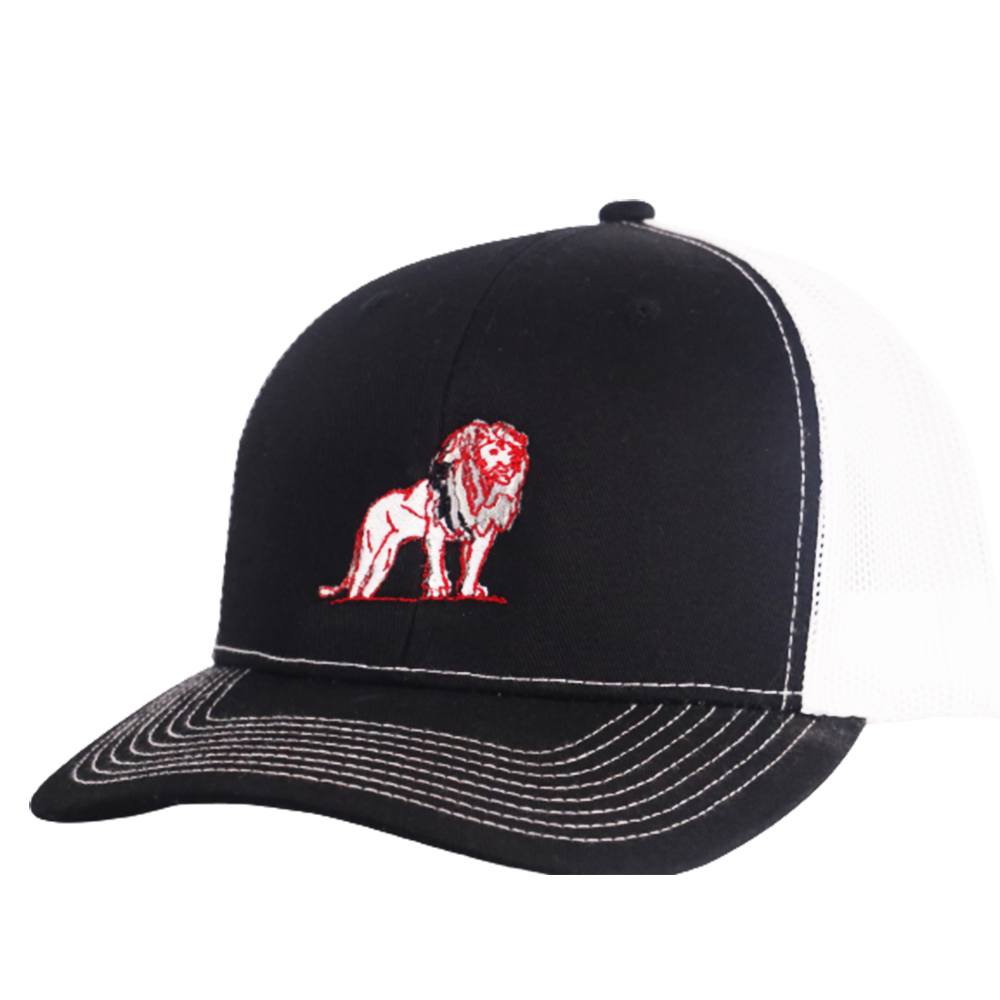 Coordinated Pro Style Trucker Hat