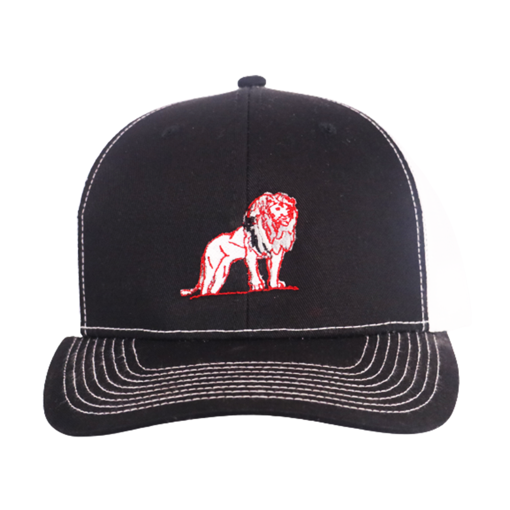 Coordinated Pro Style Trucker Hat