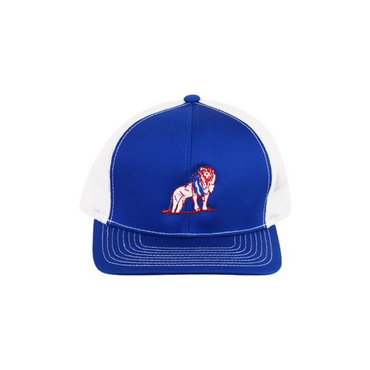 Coordinated Pro Style Trucker Hat