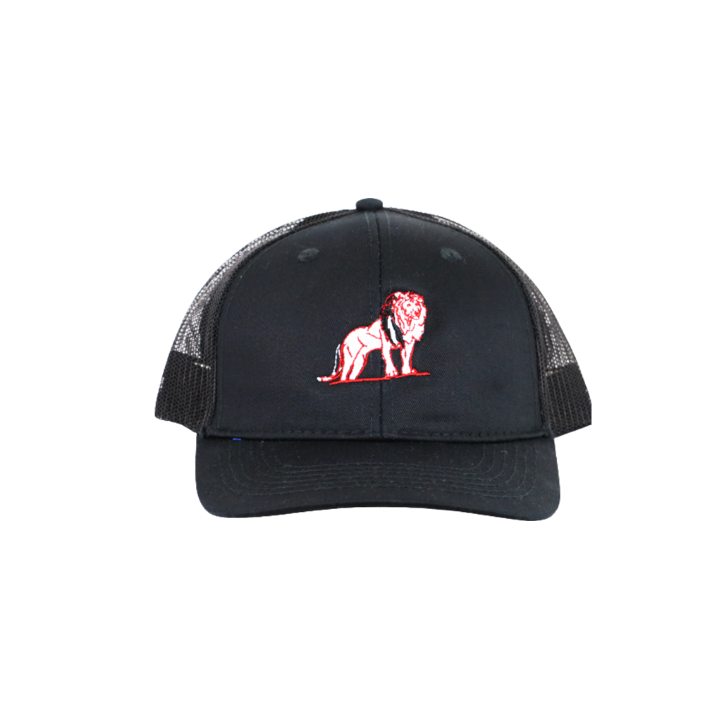 Coordinated Pro Style Trucker Hat