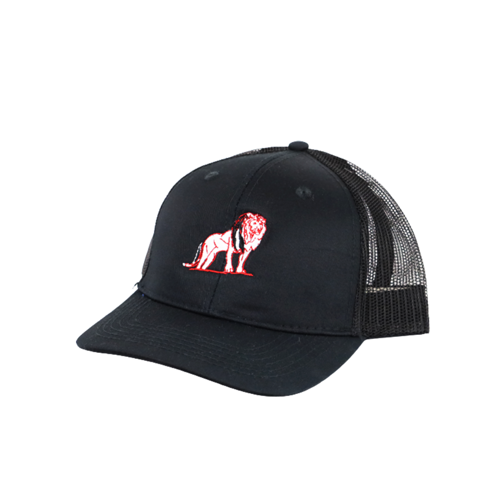 Coordinated Pro Style Trucker Hat