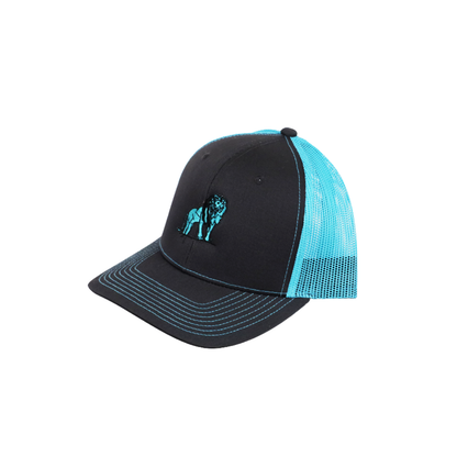 Coordinated Pro Style Trucker Hat