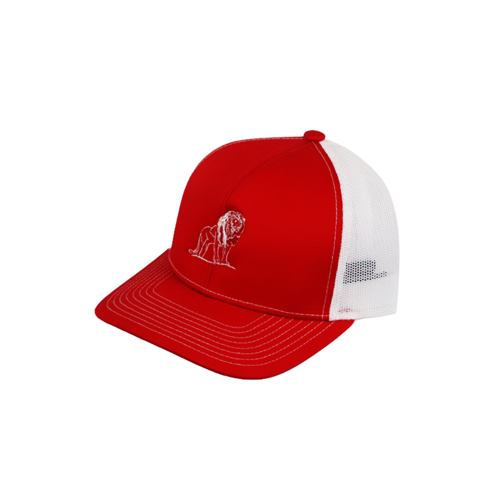 Coordinated Pro Style Trucker Hat