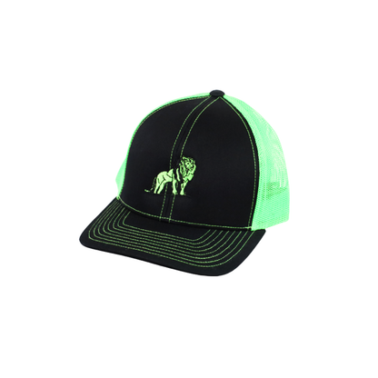 Coordinated Pro Style Trucker Hat