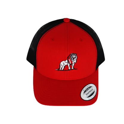 Coordinated Pro Style Trucker Hat