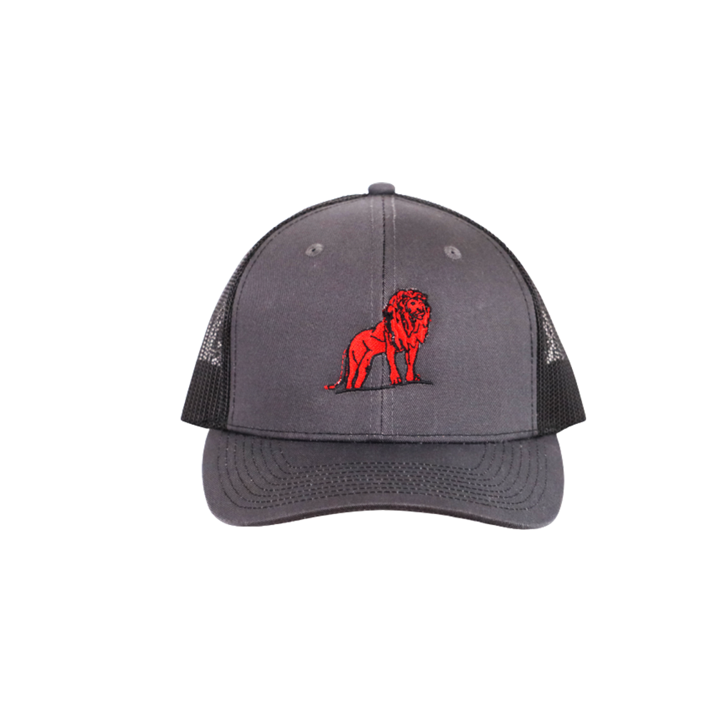 Coordinated Pro Style Trucker Hat