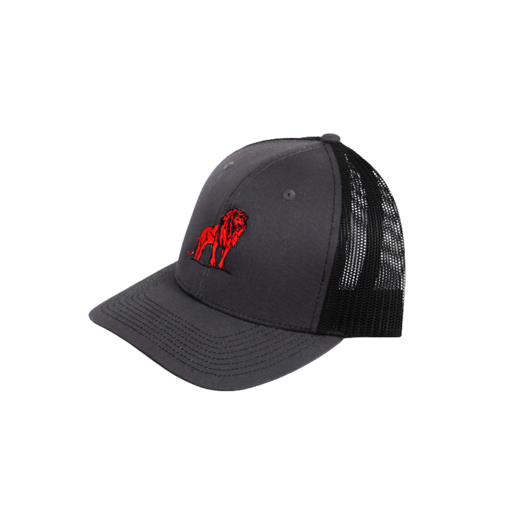 Coordinated Pro Style Trucker Hat