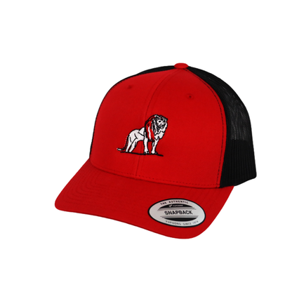 Coordinated Pro Style Trucker Hat