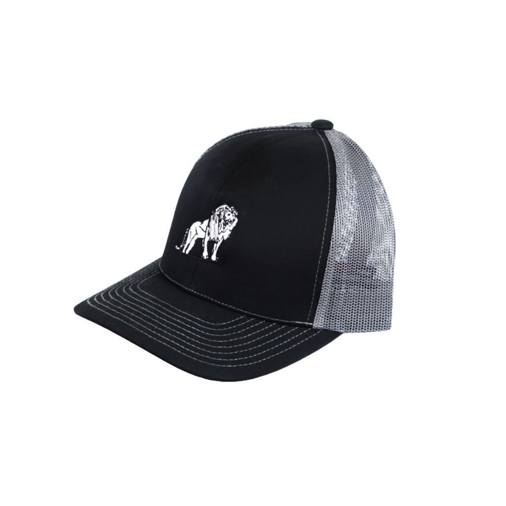 Coordinated Pro Style Trucker Hat