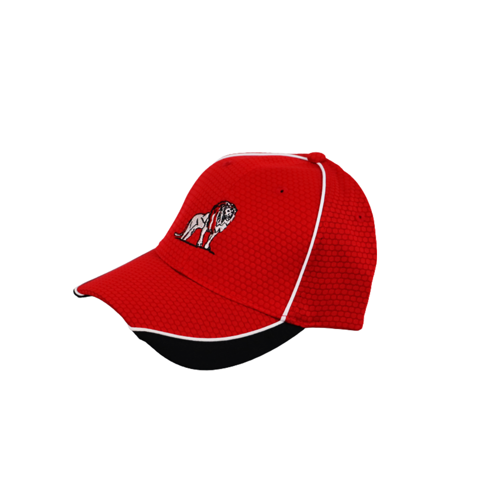 Coordinated Pro Style Golf Hat