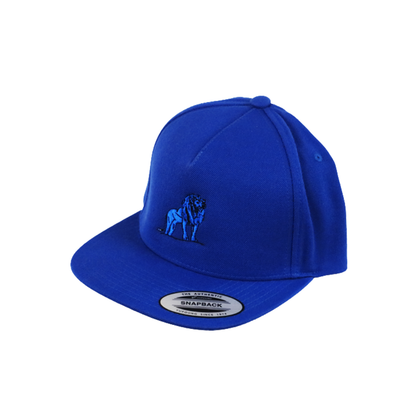 Coordinated Classic Premium Snapback Cap