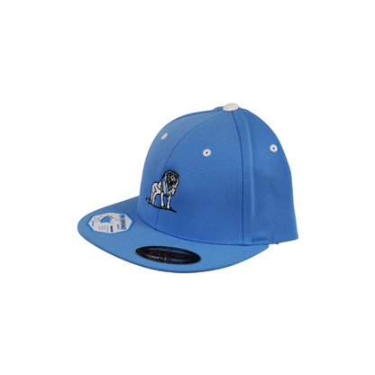 Coordinated Classic Premium Snapback Cap