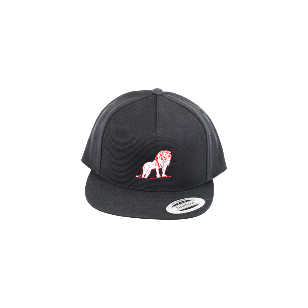 Coordinated Classic Premium Snapback Cap