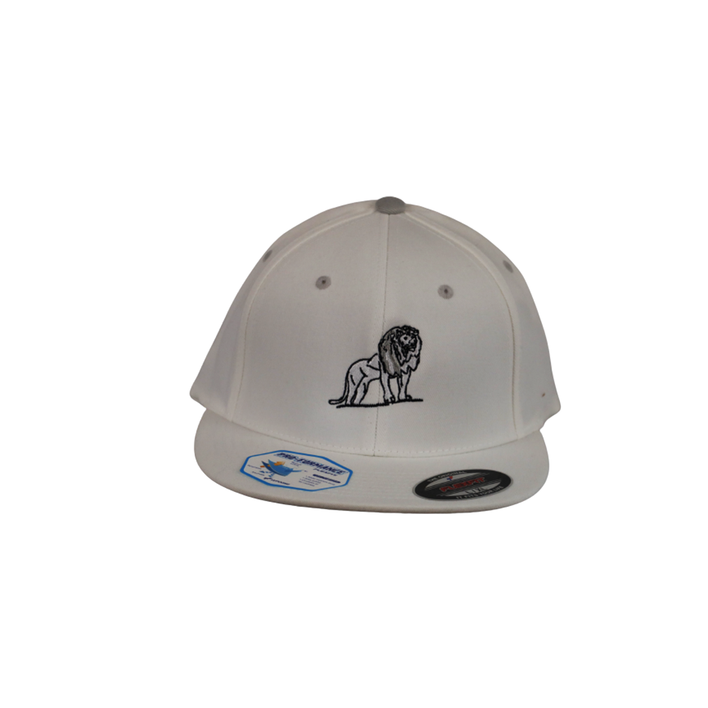 Coordinated Classic Premium Snapback Cap