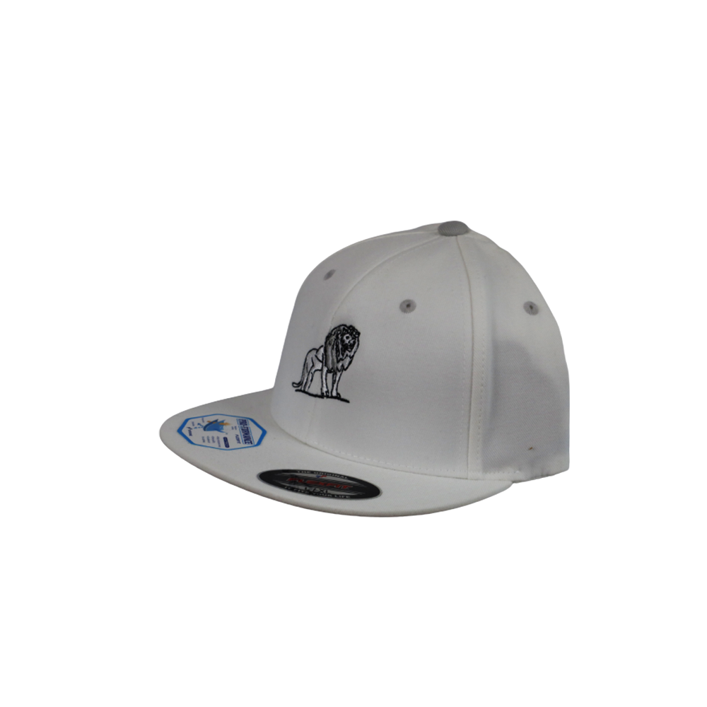 Coordinated Classic Premium Snapback Cap