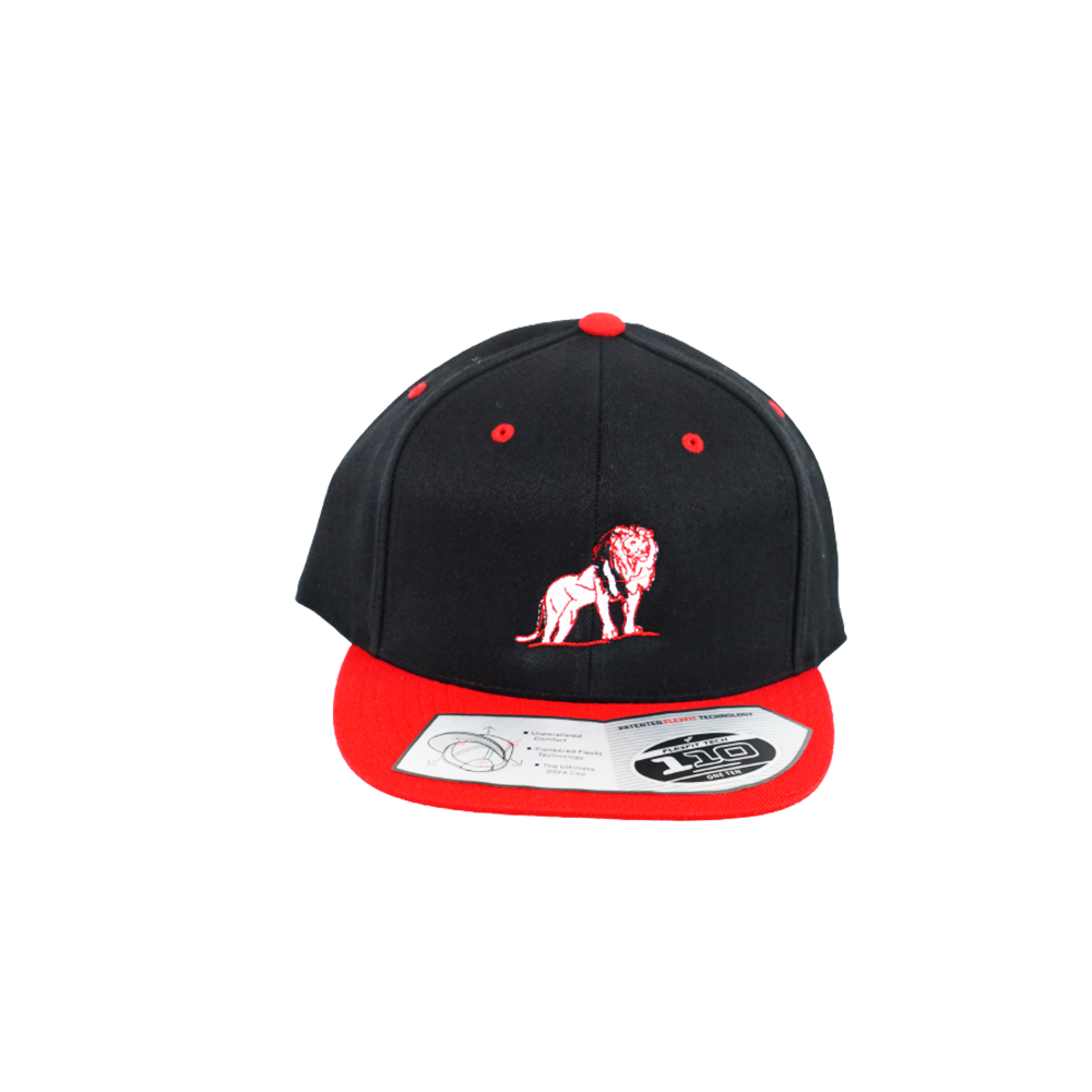 Coordinated Classic Premium Snapback Cap