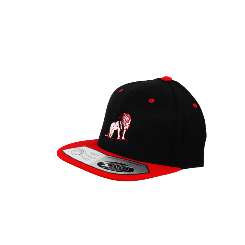 Coordinated Classic Premium Snapback Cap