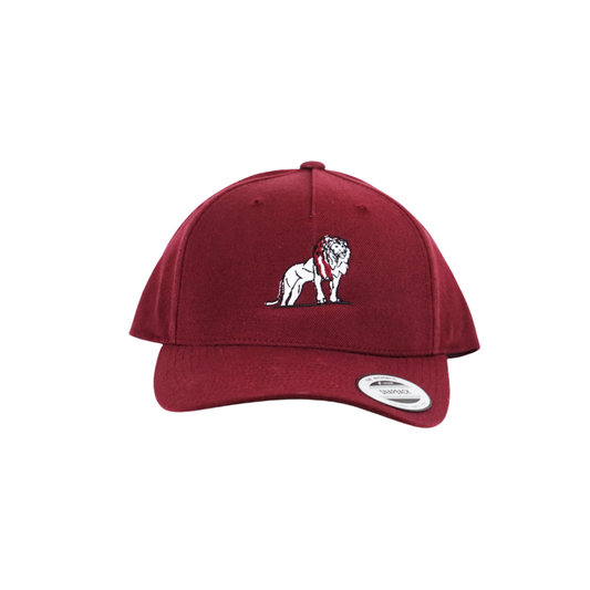 Coordinated Classic Premium Snapback Cap