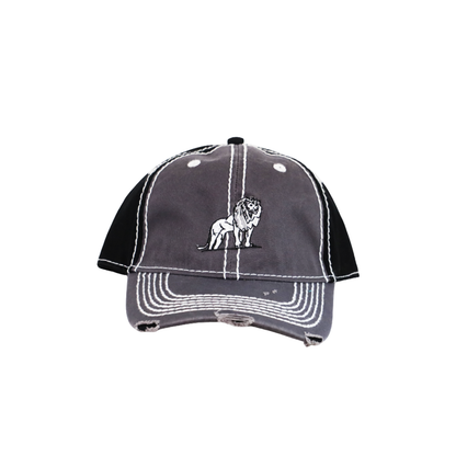 Coordinated Distressed Snapback Cap