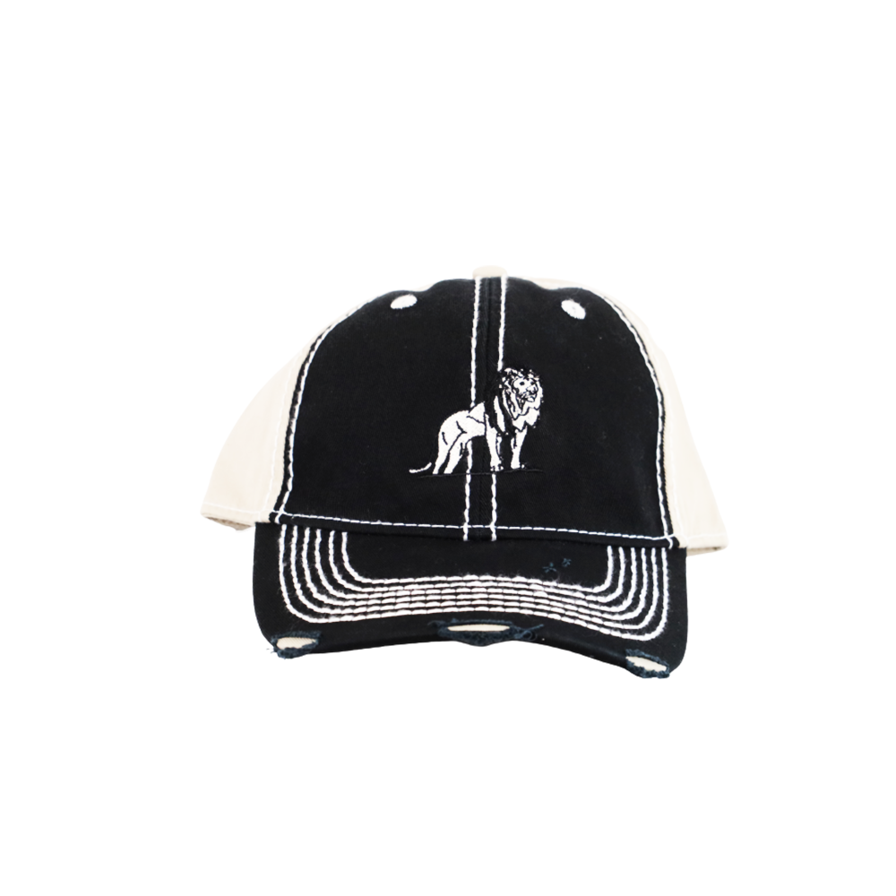 Coordinated Distressed Snapback Cap