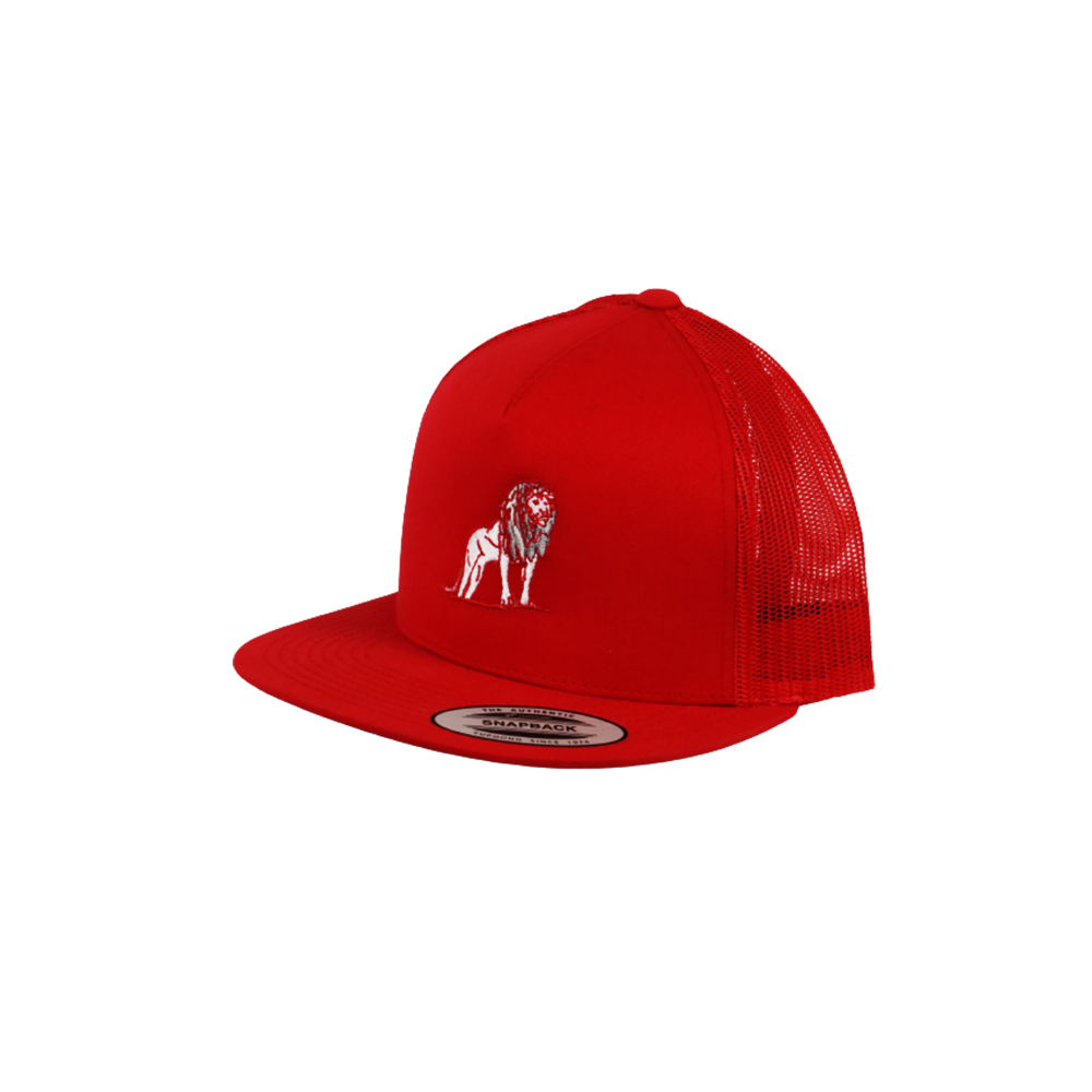 Coordinated Classic Premium Snapback Cap