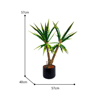 Dracaena Marginata Building Blocks Set