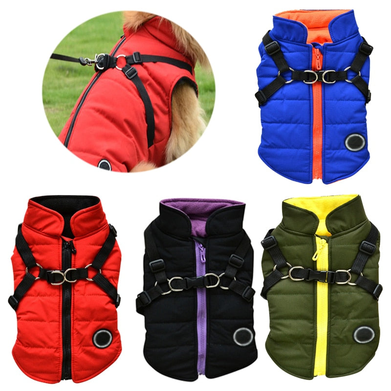 Waterproof Pet Coat With Harness