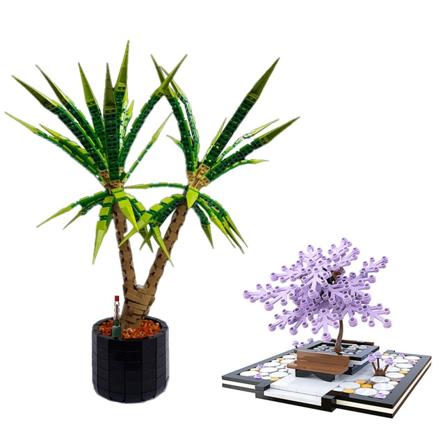 Dracaena Marginata Building Blocks Set