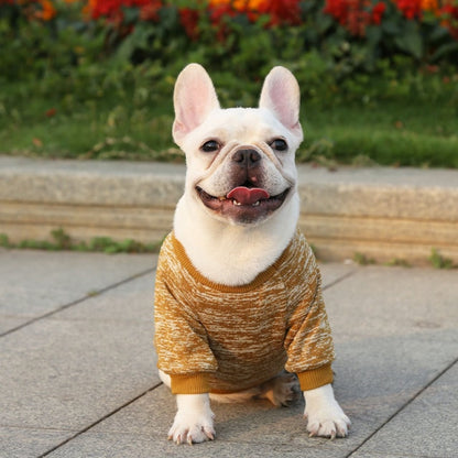 Classic Warm Dog Sweater