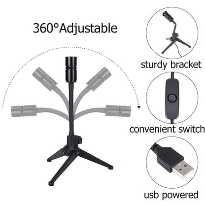 2 In 1 Projection Lamp