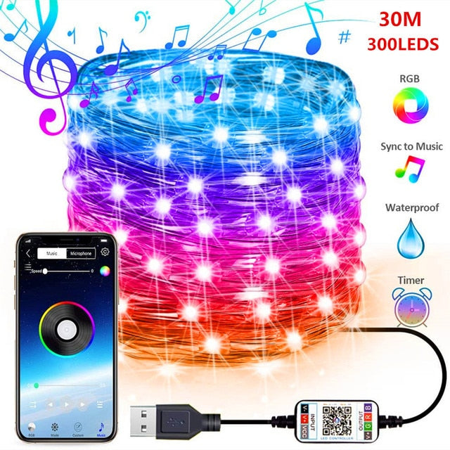 USB Smart Bluetooth LED String Lights