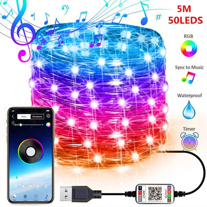 USB Smart Bluetooth LED String Lights