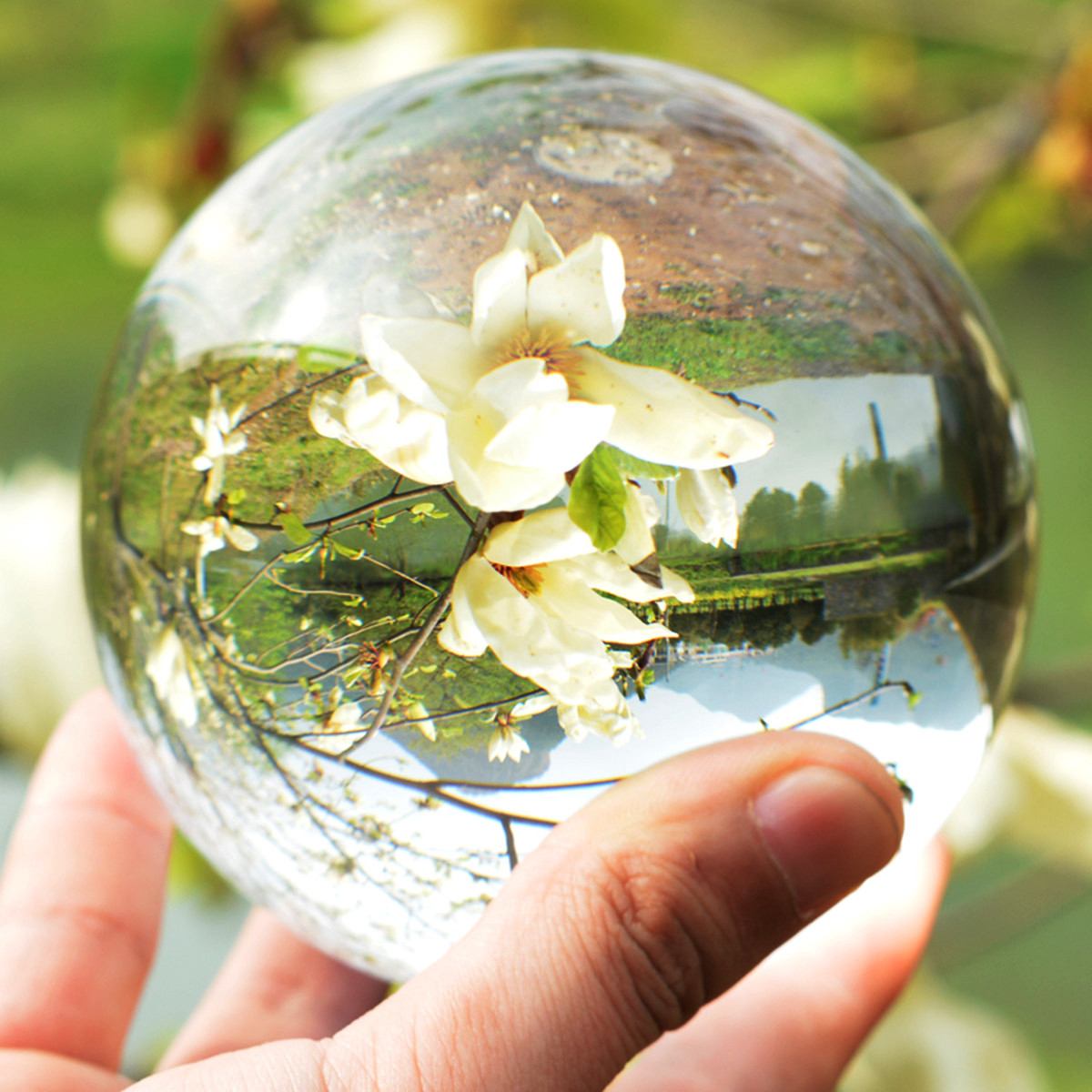 Photography Glass Ball