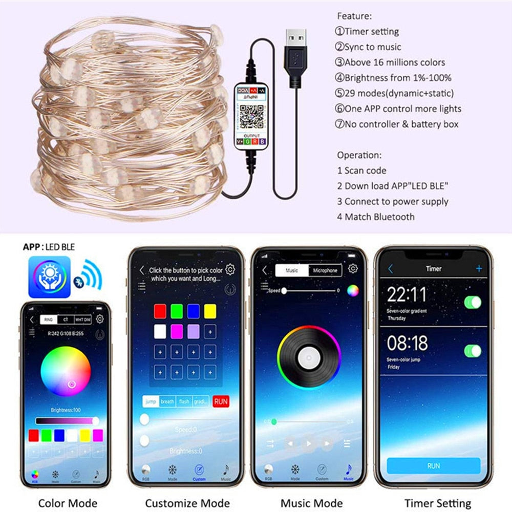 USB Smart Bluetooth LED String Lights